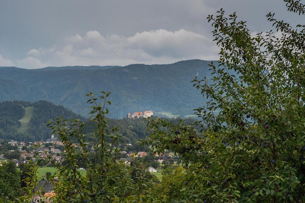 Apartmaji Gorenc Блед Екстериор снимка